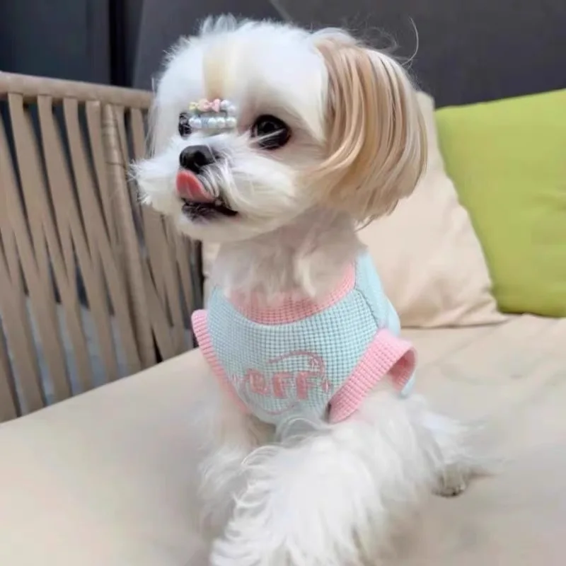 Chaleco transpirable para perro pequeño (Chihuahua, Yorkie) – Verano