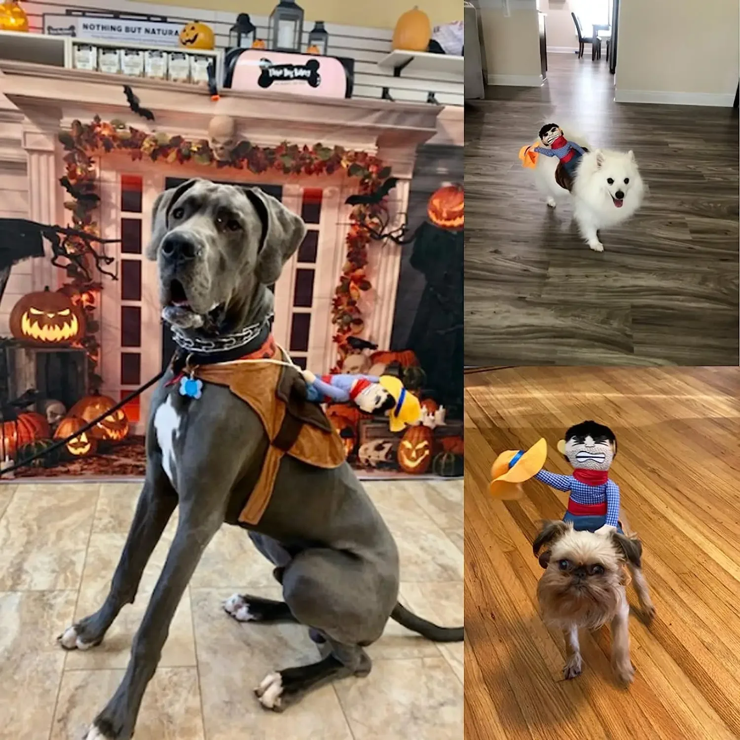 Divertidos disfraces de Halloween para perros, ropa para mascotas, chaqueta de vestir de vaquero, abrigos para perros pequeños, ropa divertida de Bulldog Francés, Pug - imagen 4