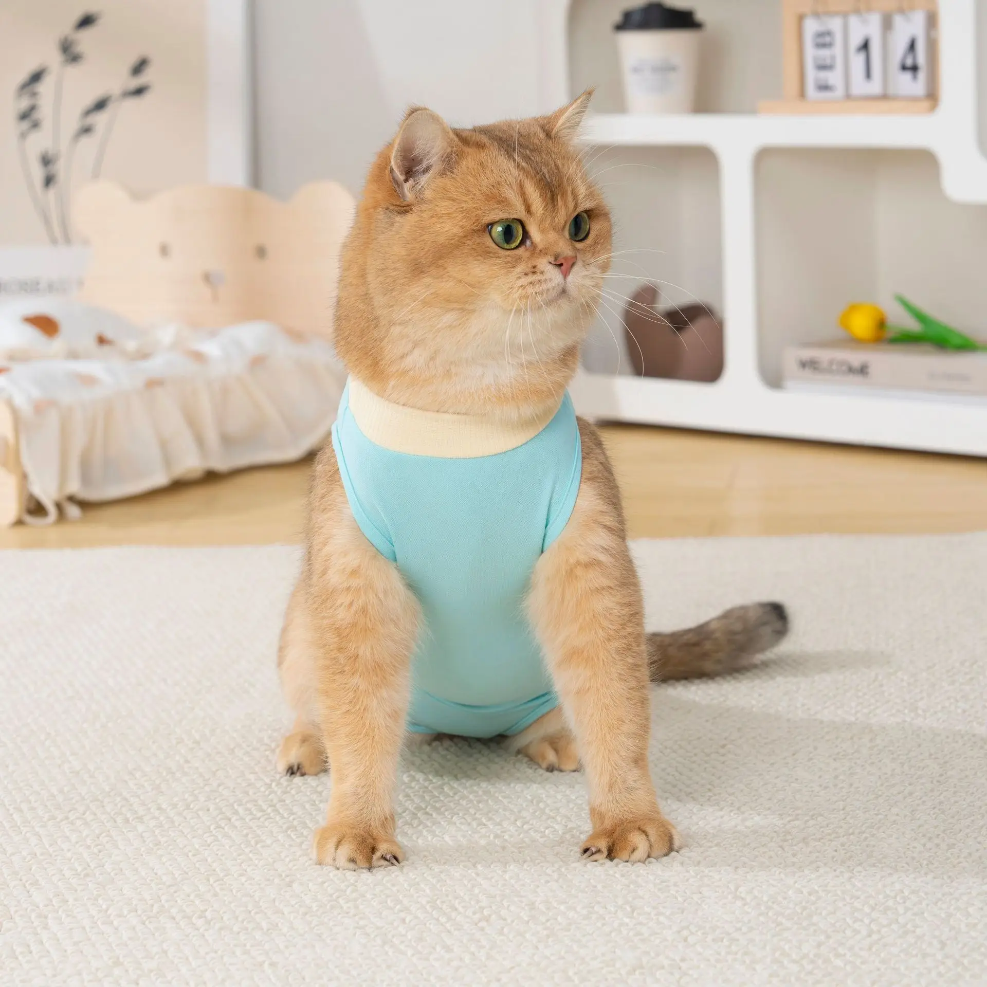 Traje de recuperación para gatos - mono transpirable postquirúrgico