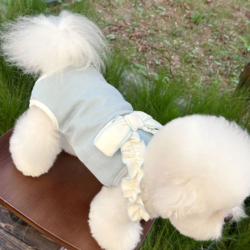 Vestido Halloween para perros pequeños con lazo colorido - imagen 5