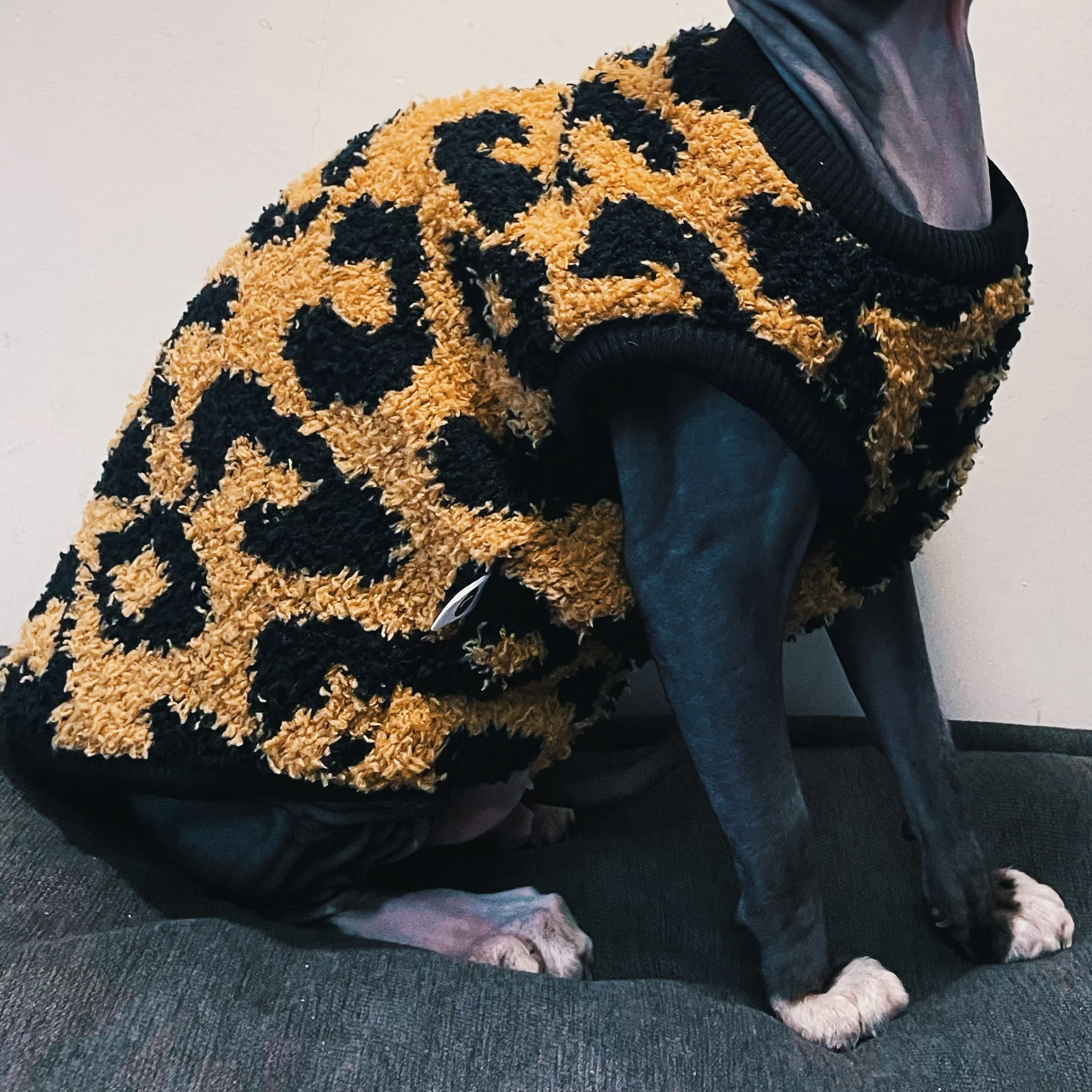 Brwon-abrigo polar de leopardo para gato sin pelo, chaleco de manga corta suave y cálido para invierno, suéter de Color oscuro Devon Rex para gato Sphynx - imagen 4