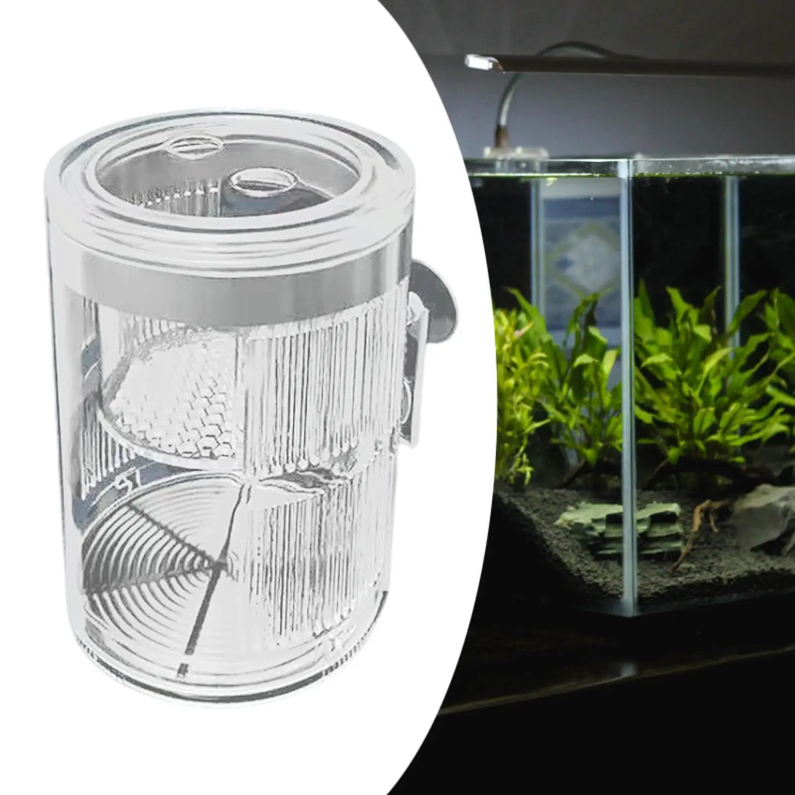 Caja de cría de peces, incubadora de pecera transparente para peces de bebé Betta Guppy