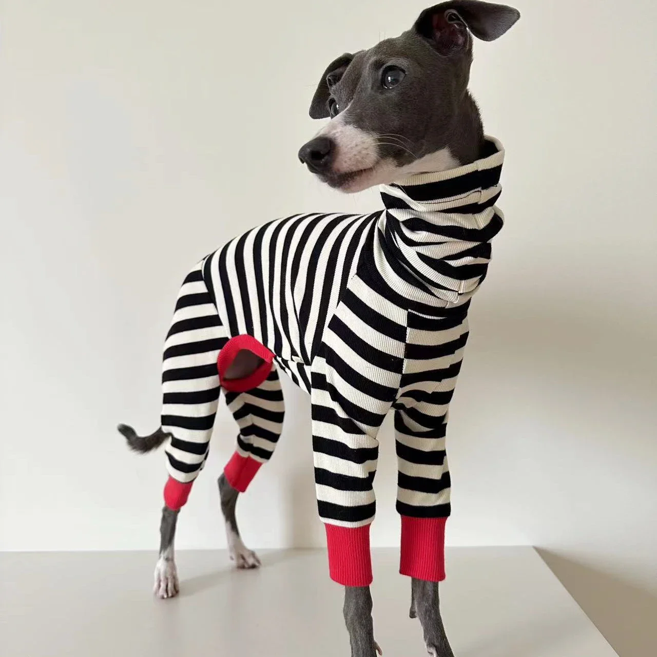 Ropa elástica para perros Whippet a rayas de cuatro patas, adecuada para perros pequeños, medianos y grandes, Galgo Italiano, Invierno - imagen 3