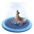 dog splash pad