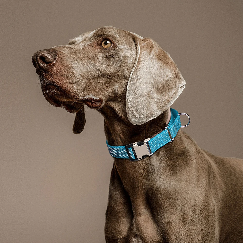 Collar de nailon reflectante para perros con asa, collares ajustables para perros, Collar para caminar para entrenamiento de mascotas, para perros pequeños, medianos y grandes, Pug - imagen 5