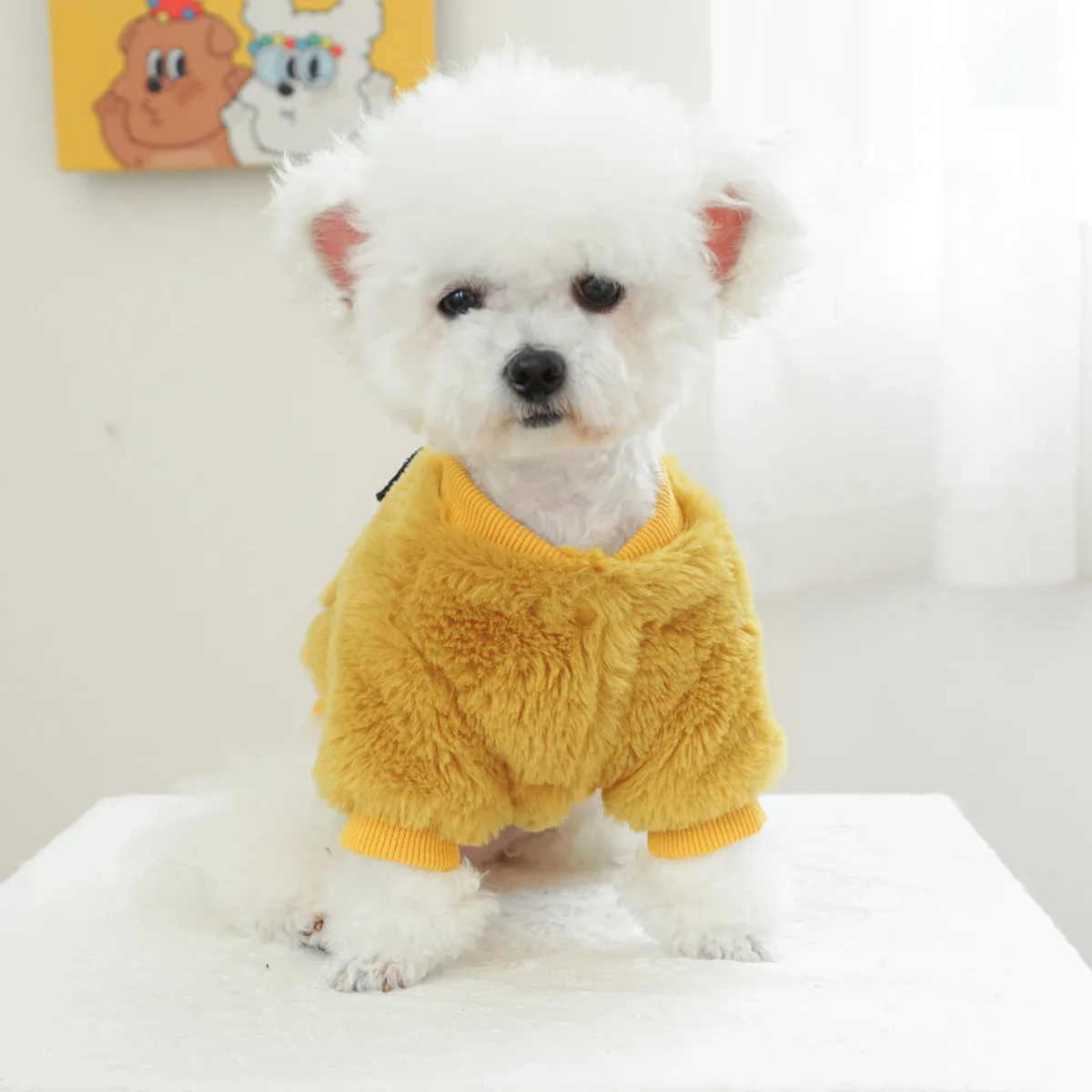 Ropa de peluche para mascotas, ropa acolchada de algodón para cachorros y gatos, panda grueso de terciopelo, otoño e invierno, nueva - imagen 4