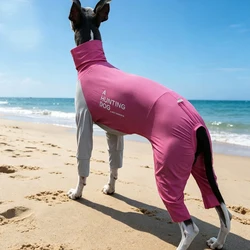 Traje verano 4 patas perro transpirable secado rápido Whippets Galgos