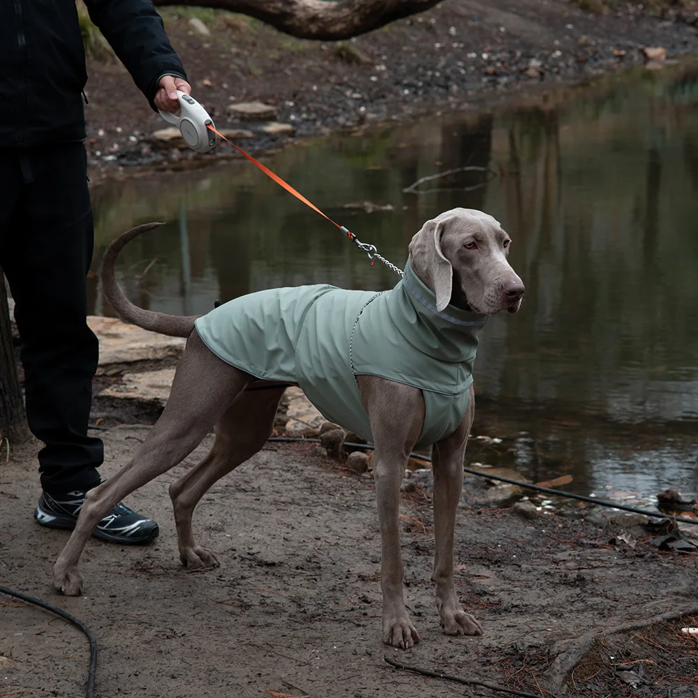 Chubasquero impermeable para perros grandes - chaqueta de lluvia - imagen 2
