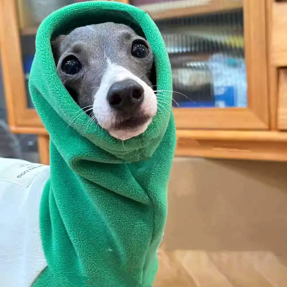 Italia galgo cálido verde 4 patas de cuello alto sudadera chaqueta de invierno abrigo para caniche Teddy otoño ropa de descanso suave para perros medianos - imagen 3