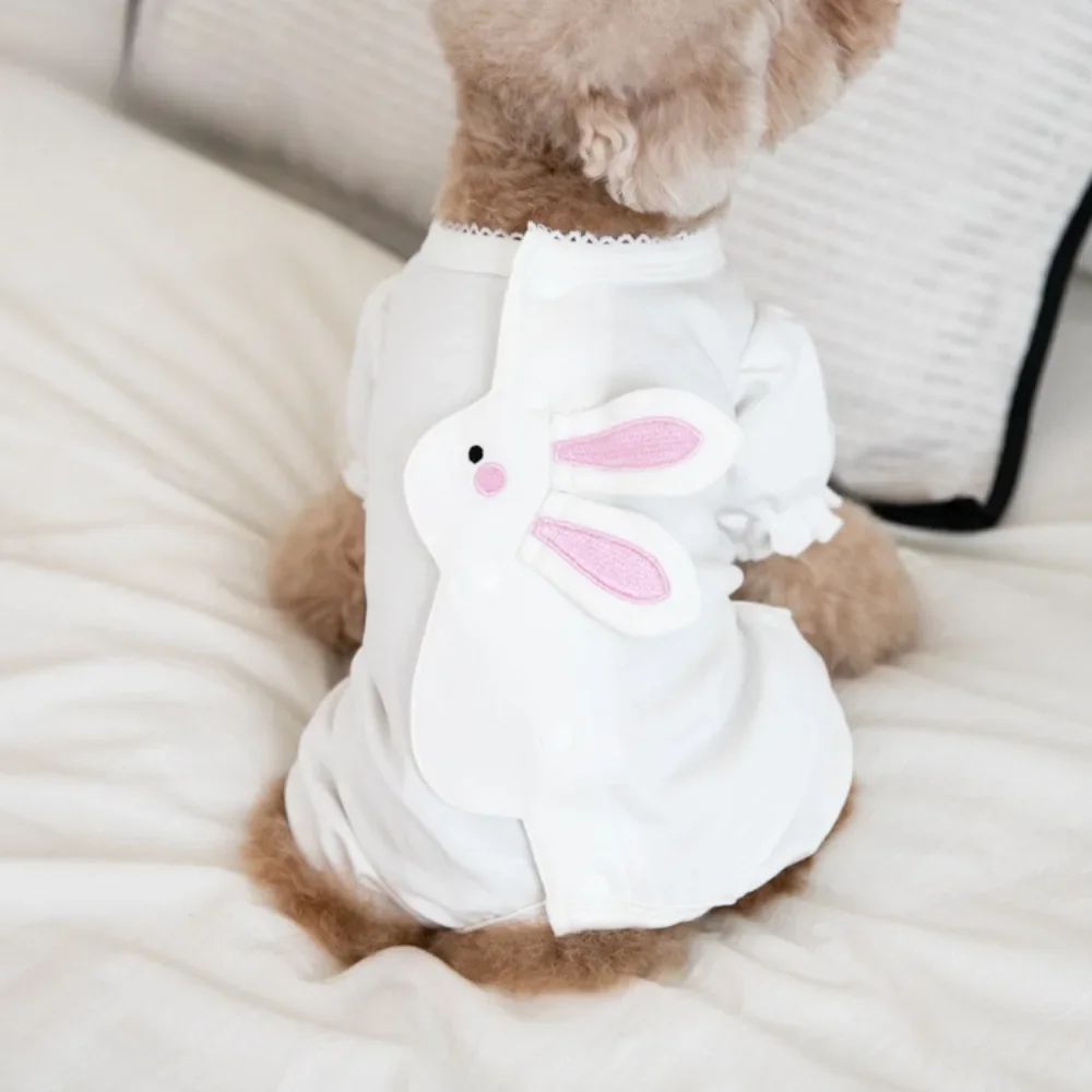 Animal de compagnie Otoño/Invierno conejo pantalones de cuatro patas vestido de transformación de Halloween mono para mascotas gato/perro ropa para mascotas ropa de peluche - imagen 3