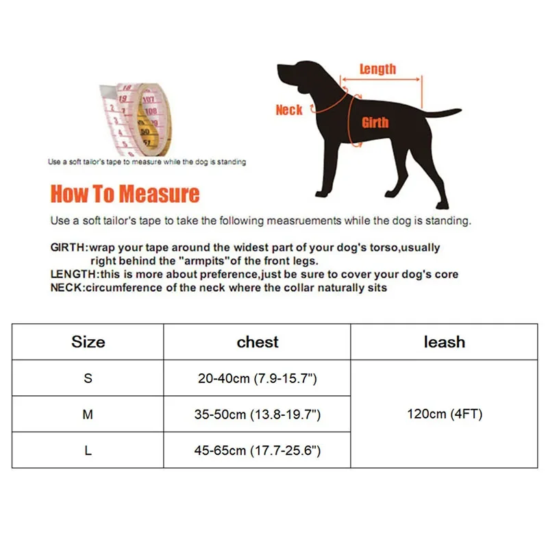 Conjunto de arnés y correa con lazo para gato, correa de plomo ajustable para cachorro, chaleco de malla de nailon, Collar para gatito, accesorios para gato - imagen 4