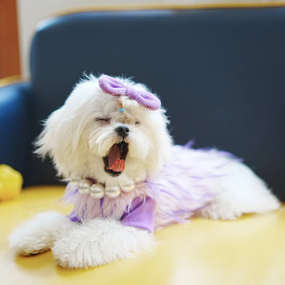 Ropa de piel de lujo para mascotas, chaleco de princesa, suéter cálido para perros, gato, cachorro, maltés, Yorkshire, empalme falso de dos piezas, invierno, nuevo - imagen 3