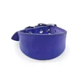 purple blue