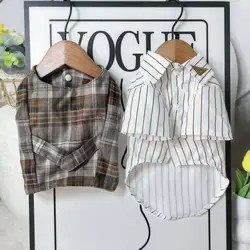 Conjunto invierno para perro Bichón: abrigo y chaleco de lana
