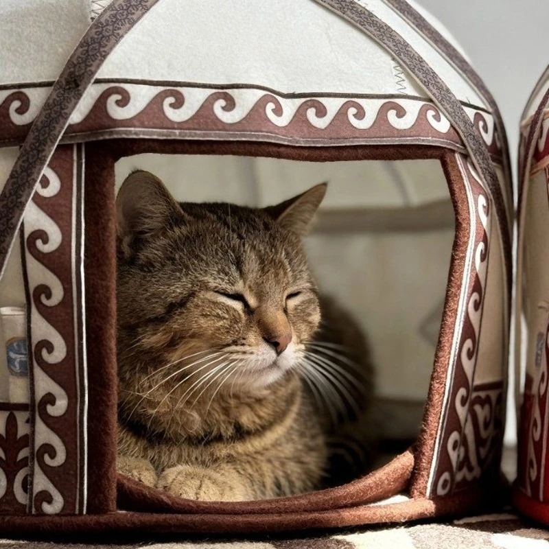 Casa de Fieltro para Gatos - Nido retro lujo, cama oculta 4 estaciones - imagen 4