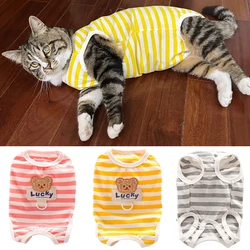 Pijamas para gatos y perros a rayas con hebilla – Sphynx y Siamés