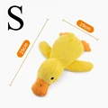 Duck S