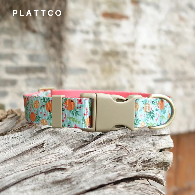 PLATTCO-Collar de poliéster para mascotas, correa con estampado de colores contrastantes, conjunto de Collar para gatos con transferencia de calor, color naranja, paraíso PDC366 - imagen 2