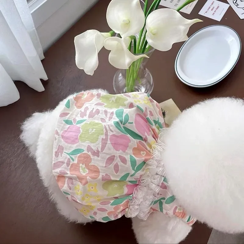 Ropa de encaje de verano para mascotas, vestido de flores de peluche, falda Halter para gato Bichon Frise, falda de princesa bonita de Pomerania para perros pequeños - imagen 3