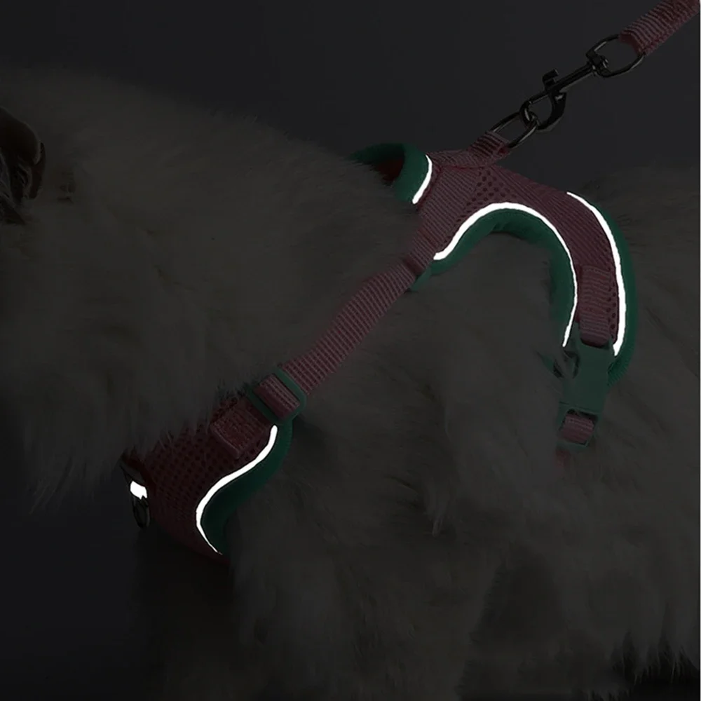 Conjunto de arnés y correa para mascotas a la moda para perros pequeños, chaleco transpirable de verano para cachorros, arneses Pinscher Chihuahua mascotas, suministros - imagen 4