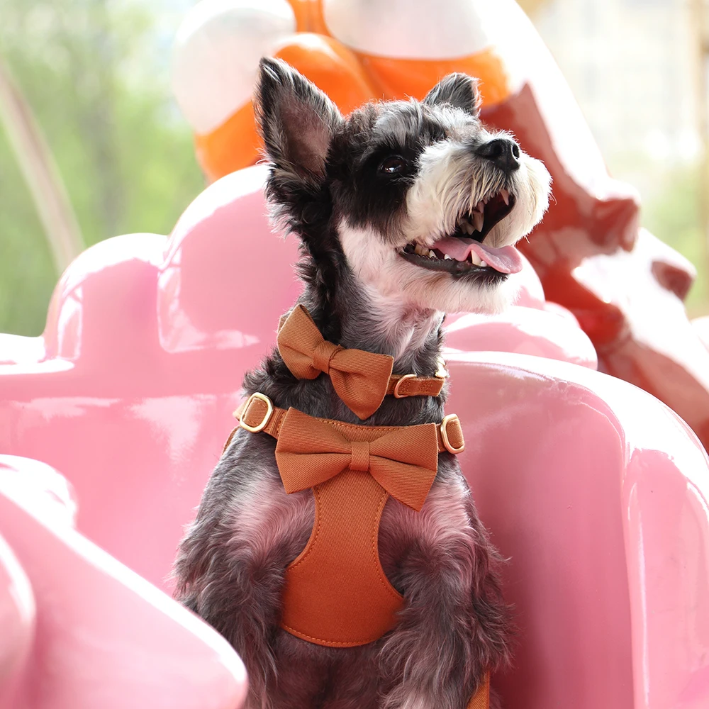 Collar de nailon para perro, conjunto de correa con bonito pajarita, Collar para perro, bolsa para caca de cachorro, chaleco con arnés suave para perros pequeños y medianos, 5 colores - imagen 4