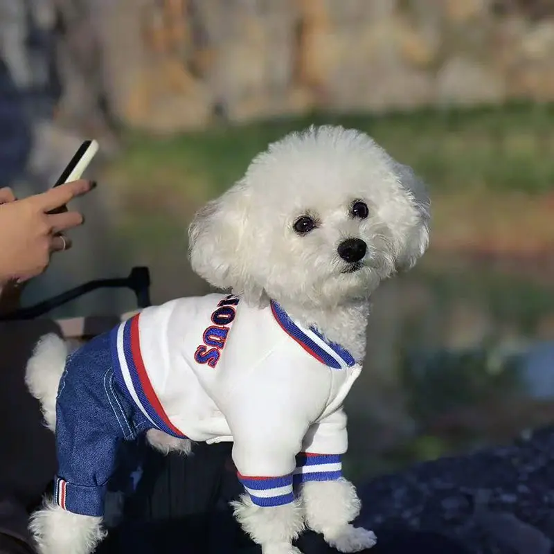 Chaqueta de béisbol de otoño/invierno para mascotas, chaqueta de peluche gruesa de invierno de cuatro patas para perros de tamaño mediano, chaqueta de peluche para perros pequeños