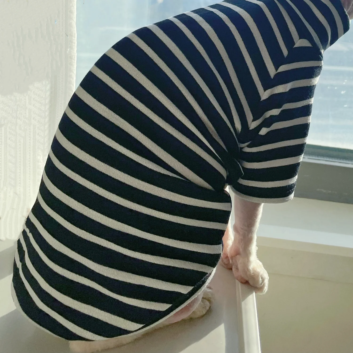 Camiseta de algodón a rayas negras para gato Sphynx, pijamas suaves de cuello alto para gatitos en primavera, abrigo de otoño de manga larga para Devon Rex - imagen 5