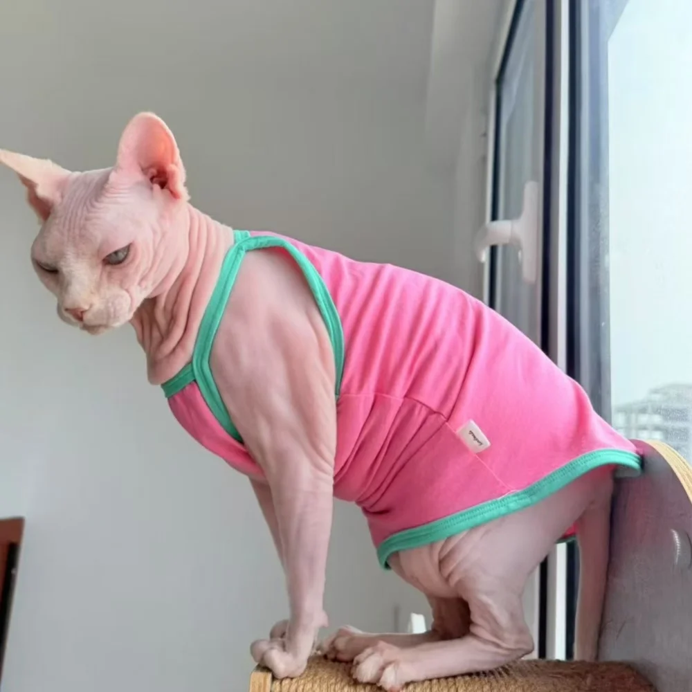 Camiseta camisola de algodón rosa para gato sin pelo en verano, chaleco verde suave y bonito para Devon Rex, abrigo fino sin mangas para gato Sphynx