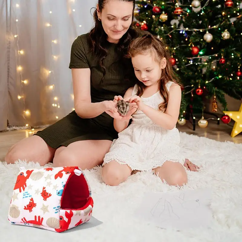 Cama de hámster de invierno sin caída, casa divertida para animales pequeños, casa de animales pequeños, hámsteres de oso de seda dorada - imagen 2