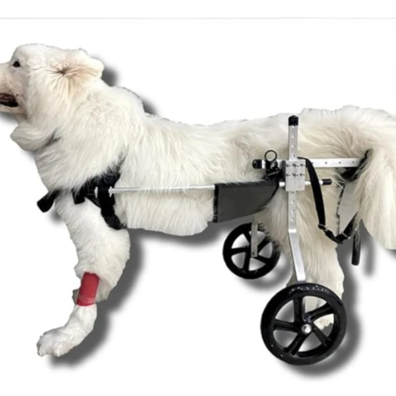 Silla de ruedas para mascotas, vehículo de asistencia para caminar para rehabilitación de perros, Scooter para perros discapacitados medianos y grandes
