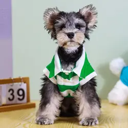 Camiseta polo para perro a rayas de algodón verano Chihuahua y Bichón