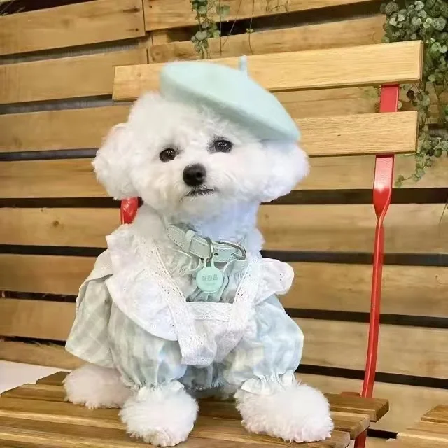 Ins sombrero de lana de pintor para perro y gato, Boina de Color sólido, Mini sombreros de foto decorativos para cachorro, sombrero de diseñador de lujo conmemorativo de Navidad - imagen 2