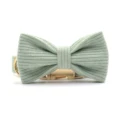collar with bow