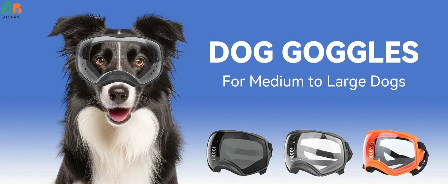 dog goggles