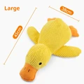 Big Duck