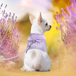 Arnés y correa personalizados para perros – Impresión de nombre incluida