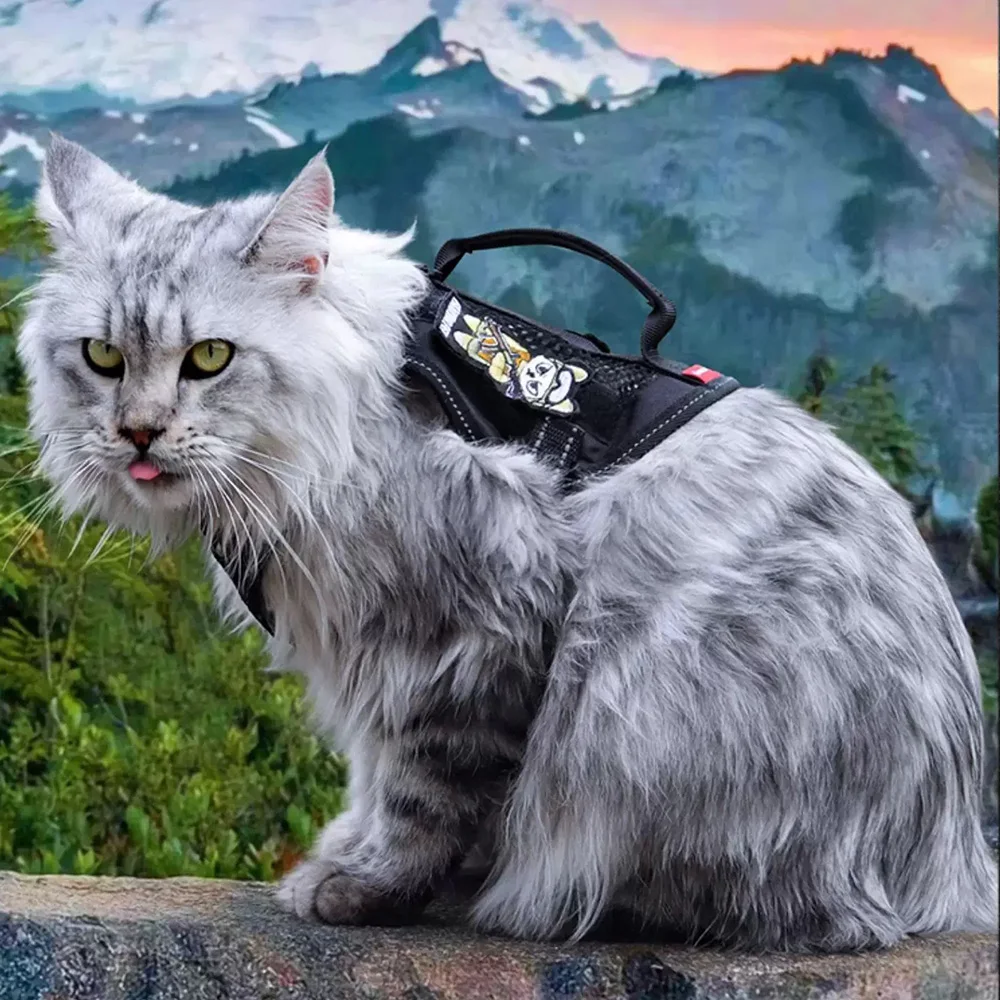 Arnés y correa de mano para gatos Gotas, arneses reflectantes para mascotas con accesorios, soportes para caminar siameses - imagen 5