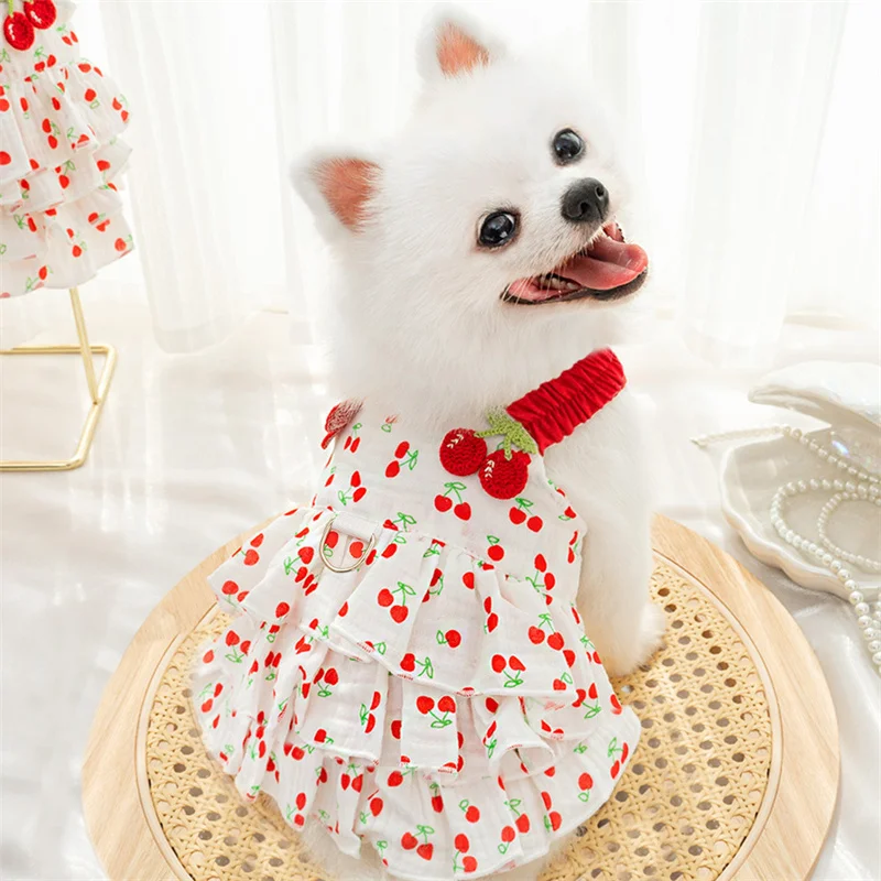 Un perro blanco que usa un vestido rojo con cerezas