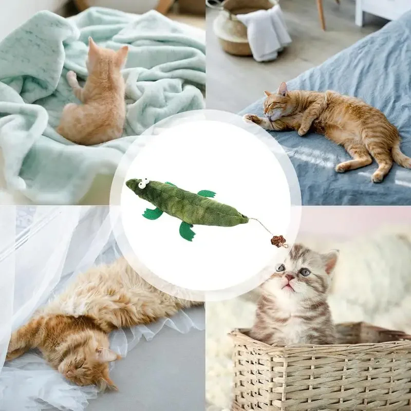 Juguetes para gatos, con sonidos arrugados súper suaves, juguetes para masticar mascotas, juguetes de interior para interacción de dentición de gatos - imagen 5