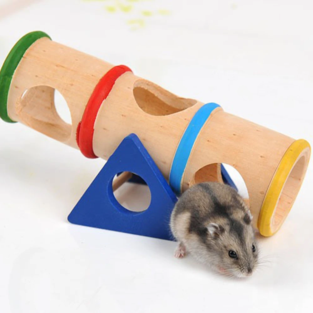 Juguete para mascotas, cubo de sierra transparente de madera para hámsteres y Golden Retriever, suministros transfronterizos para mascotas, juguetes de madera para mascotas - imagen 2