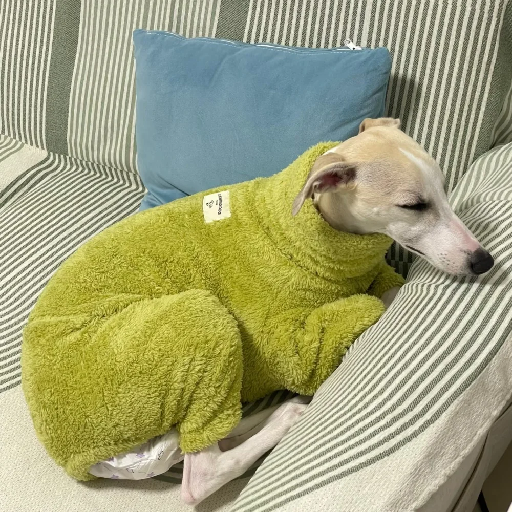 Ropa para perros Chaqueta de invierno de 4 patas para pequeño galgo Sudadera verde de terciopelo para perros caniche Abrigo cálido de primavera para Yorkshire - imagen 5