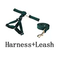 harness leash