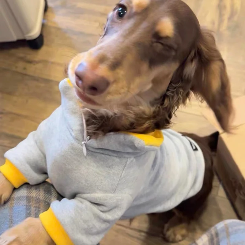 Ropa de primavera para perros con salchicha, suéter para perros Wiener de 2 patas para perros pequeños, medianos y grandes, ropa para perros de tejón, camiseta para perros - imagen 5