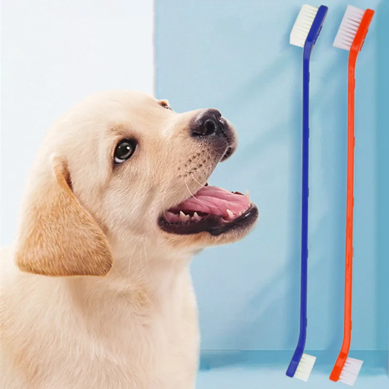 Set de cepillos de dientes para perros y gatos con doble cabezal