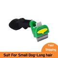 Dog S-long hair