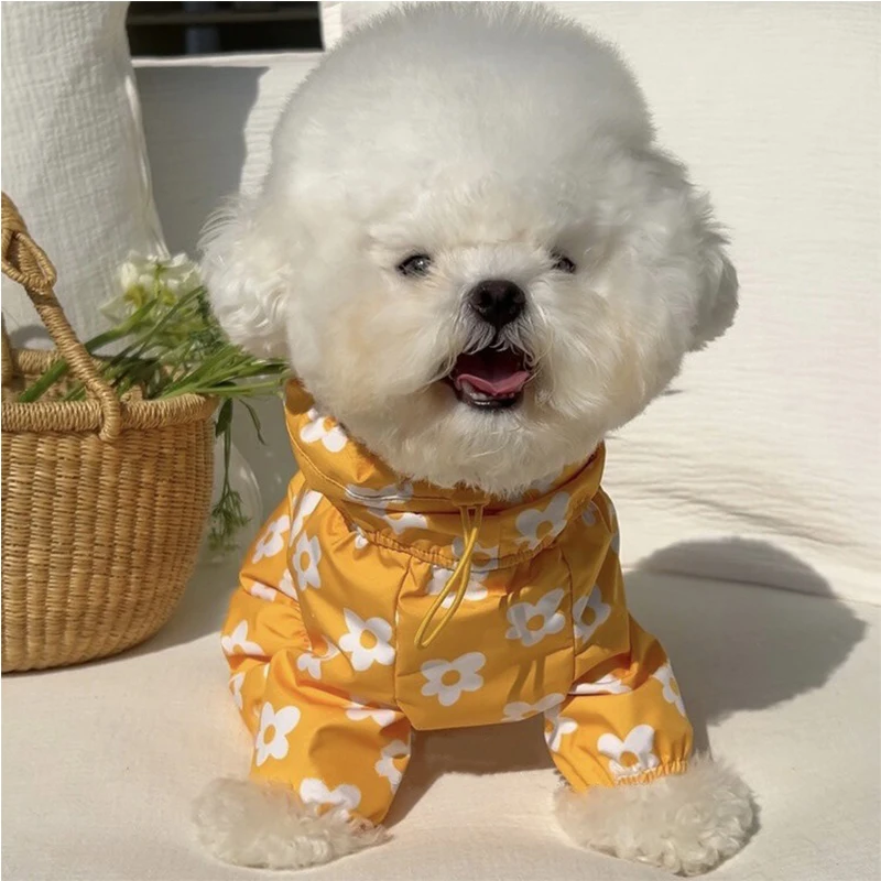 Ins multi en uno impermeable en forma de corazón con estampado de nubes impermeable para mascotas modelo de perro lindo con capucha ropa para perros Mascotas disfraz para perro