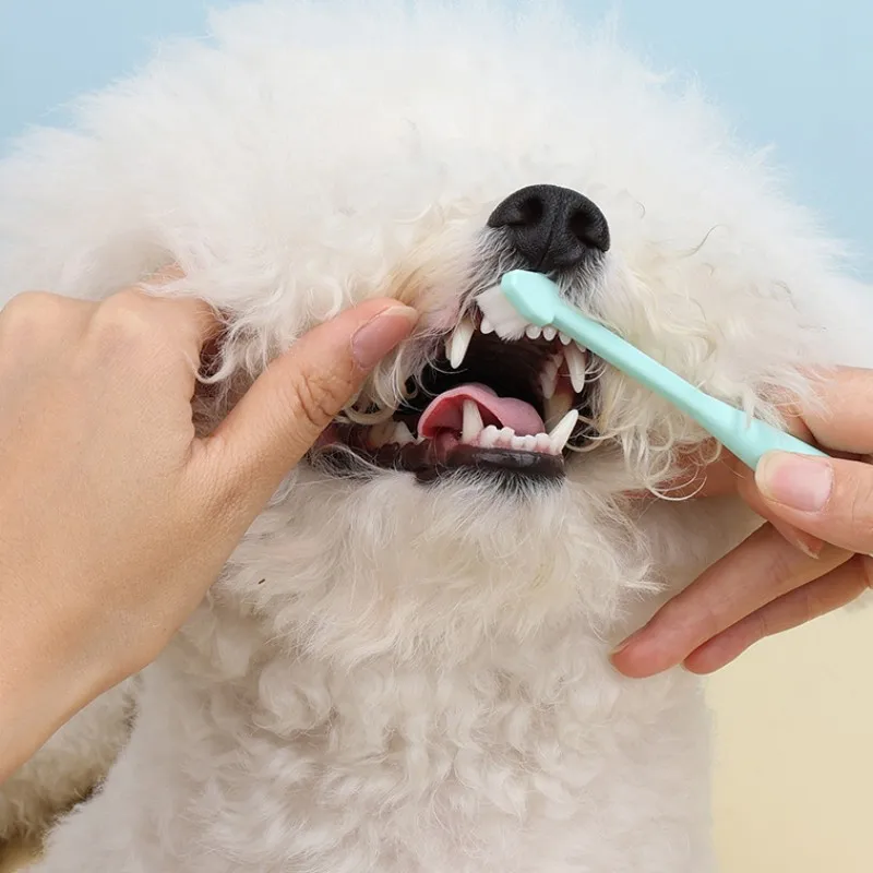 Cepillo de dientes para perros, limpieza de dientes de perros, cepillo de 360 grados para perros, limpieza Oral de gatos, cepillos de dientes de pelo suave para mascotas, cepillo para perros con mango largo - imagen 3
