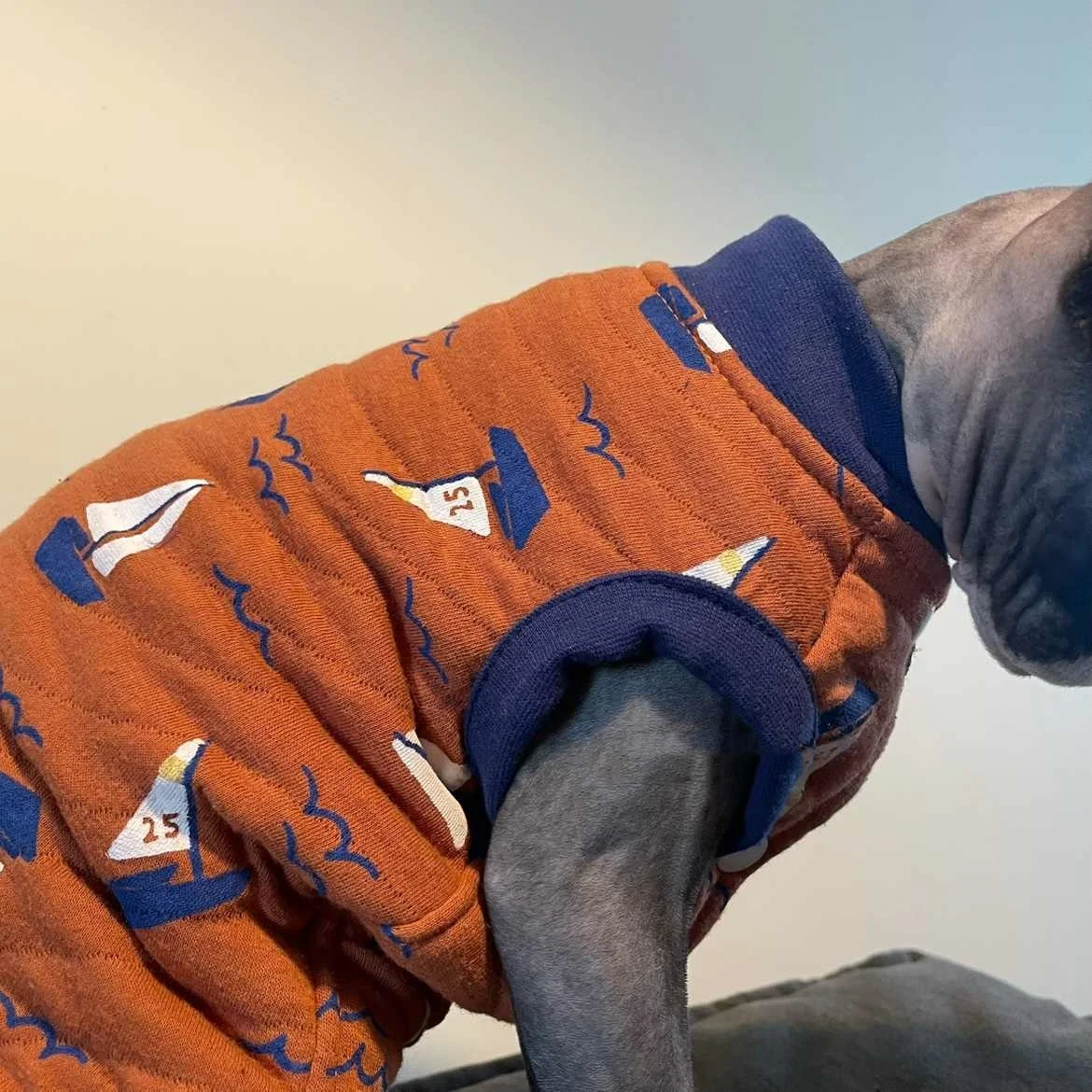 Chaqueta de invierno acolchada de algodón suave naranja para gato sin pelo Cálido cárdigan chaleco abotonado para Devon Rex Sphynx Cat Fashion Sudadera - imagen 4