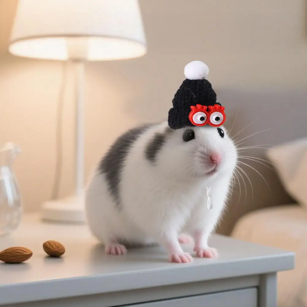 Gorro para hámster, gorro pequeño de punto con gafas con pompón, minisombrero pequeño para mascotas con correa ajustable para disfraz de conejillo de indias, gorro de utilería para fotografía - imagen 2