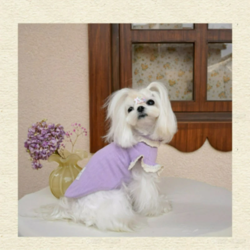 Ropa para perros estilo Ins, vestido de cachorro recortado con encaje de princesa de estilo francés para perros pequeños - imagen 5